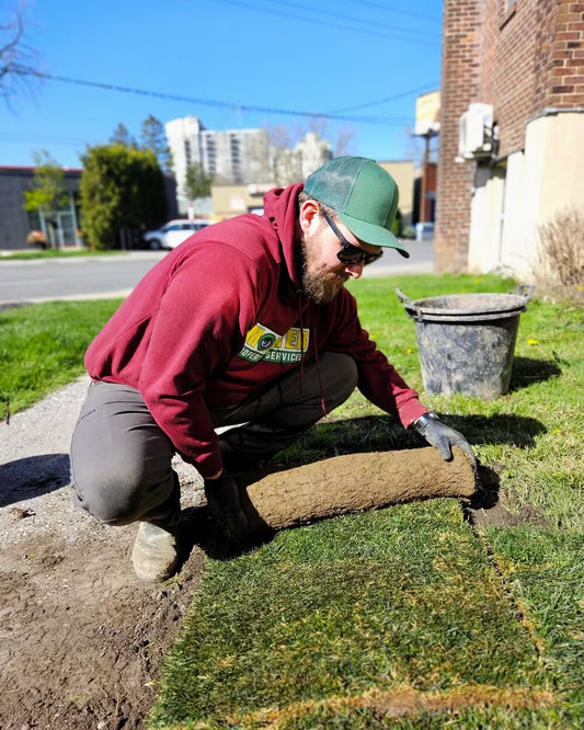 Lawn Aeration + Overseeding - Monster Supply Company